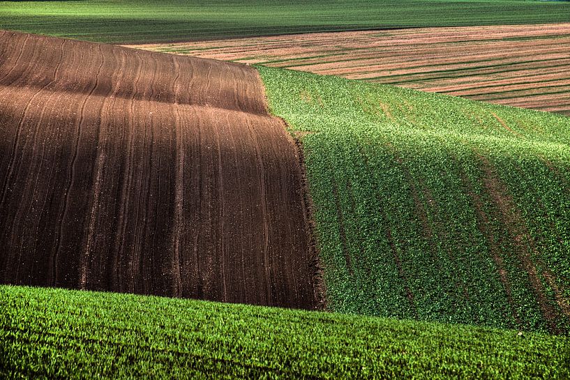 Golvend landschap van Harrie Muis