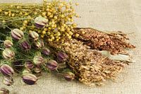 Dried flowers