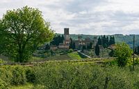 Badia A Passignano