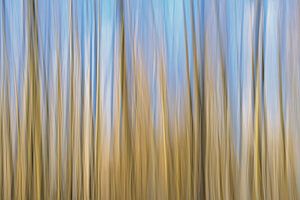 Abstrakte Bewegung in Blau und Braun