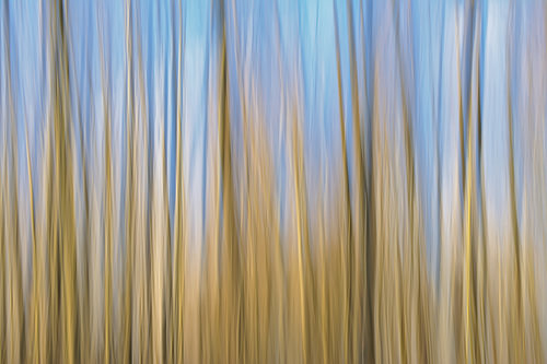 abstracte beweging in blauw en bruin