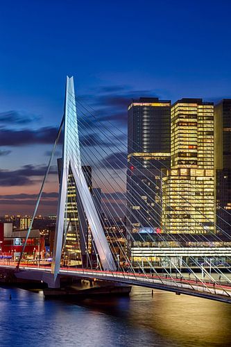 Rotterdam ochtendgloren