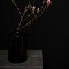Stilleven met magnolia tak in vaas van Mayra Fotografie