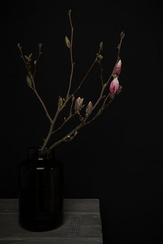 Stilleven met magnolia tak in vaas van Mayra Fotografie