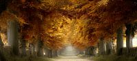Road To The gate (Nederlands Herfst Laan) van Kees van Dongen thumbnail