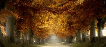 Road To The Gate (Holländische Herbstspur)