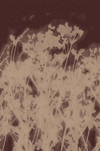 Puur landelijk. Moderne botanische kunst. Bloemen in crème en warm bruin.