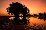 Zonsondergang op het strand met Palmboom van Jesse Simonis thumbnail