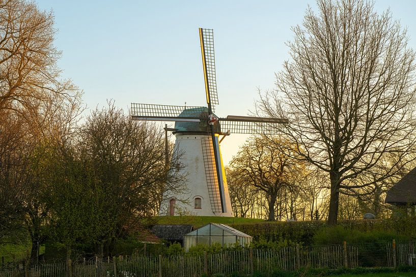 De bergmolen in Anzegem van Marcel Derweduwen