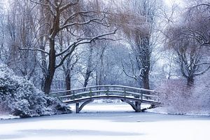 Pont dans le parc
