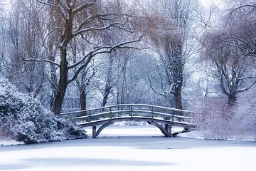 Bridge in park by Thijs Friederich