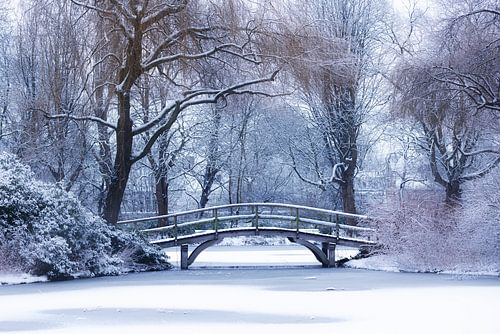Romantische brug in winter