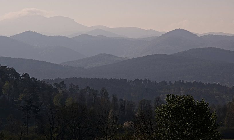 Collines dans la brume du matin par Theo Felten
