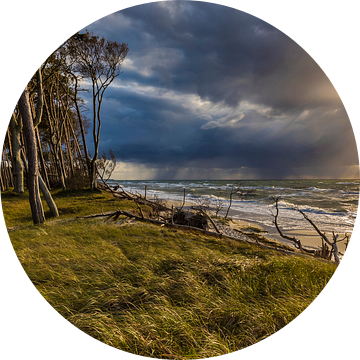 Storm op het westelijke strand van Darss van Werner Dieterich