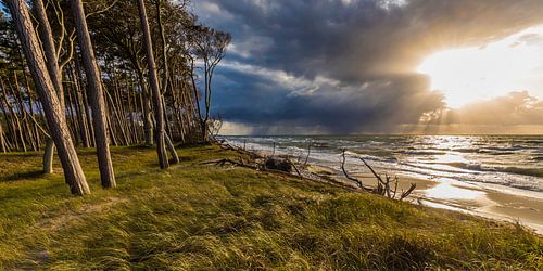 Storm op het westelijke strand van Darss van Werner Dieterich