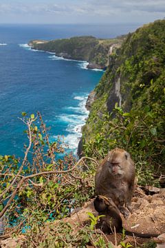 Landschap Ubud met apen van Leontien Adriaanse