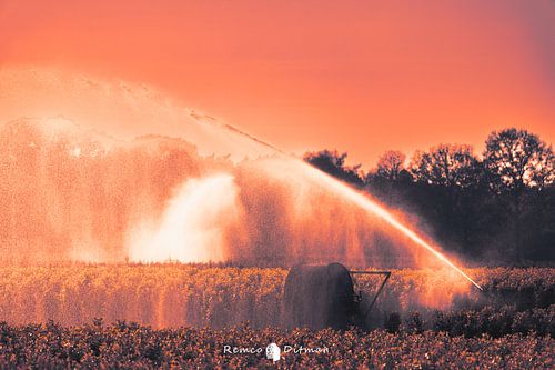 Industrial Elegance: Sprayer