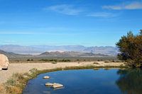 Watering hole in the desert