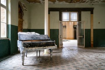 Verlassenes Klavier. von Roman Robroek
