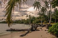 Verlassener Strand auf Samoa von Hans Moerkens Miniaturansicht
