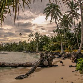Verlaten Strand op Samoa van Hans Moerkens