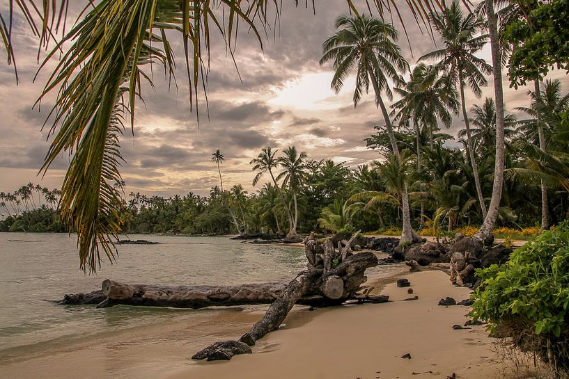 Plage déserte á Samoa par Hans Moerkens