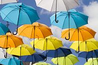 Paraplu's in alle kleuren en maten van Irene Lommers thumbnail