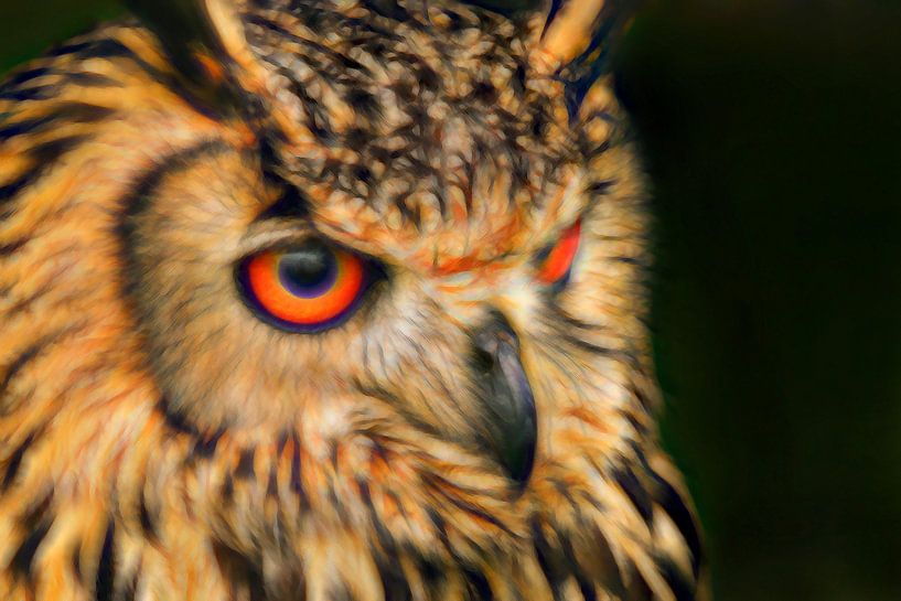 Portrait Bengal Eagle Owl. by Michar Peppenster