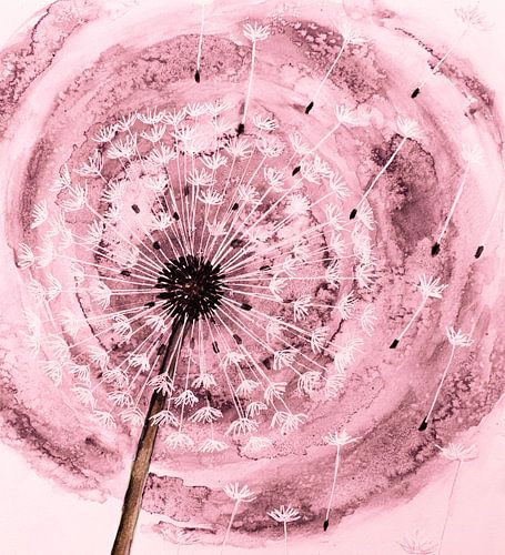 Aquarelle vieux rose