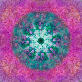 Cosmos by christine b-b müller