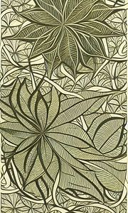 Imprimé botanique - vert mousse sur Lily van Riemsdijk - Art Prints with Color