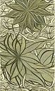 Botanische print - mosgroen van Lily van Riemsdijk - Art Prints with Color thumbnail