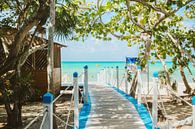 Magischer Strand an der Karibischen See von Art Shop West Miniaturansicht