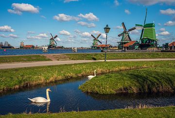 De Zaanse Schans van Niels  de Vries