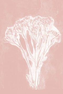 Witte bloem in retrostijl. Moderne botanische kunst in pastelroze en wit. van Dina Dankers