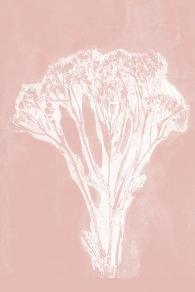White flower   in retro style. Modern botanical  art in pastel pink and white. by Dina Dankers