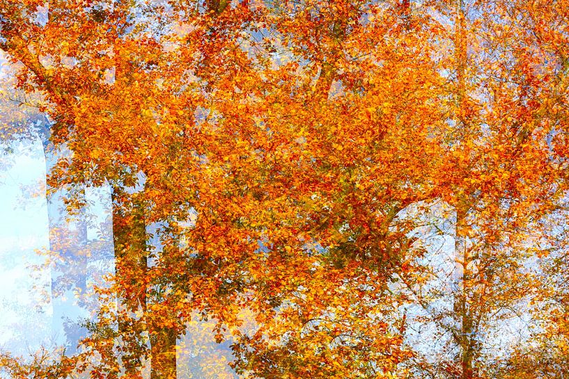 Gouden oktober van Thomas Jäger