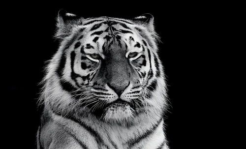 Wonderful Lady (B&W Version)