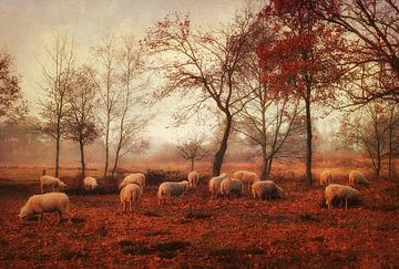 Laatste dagen van de herfst van Ellen van Deelen