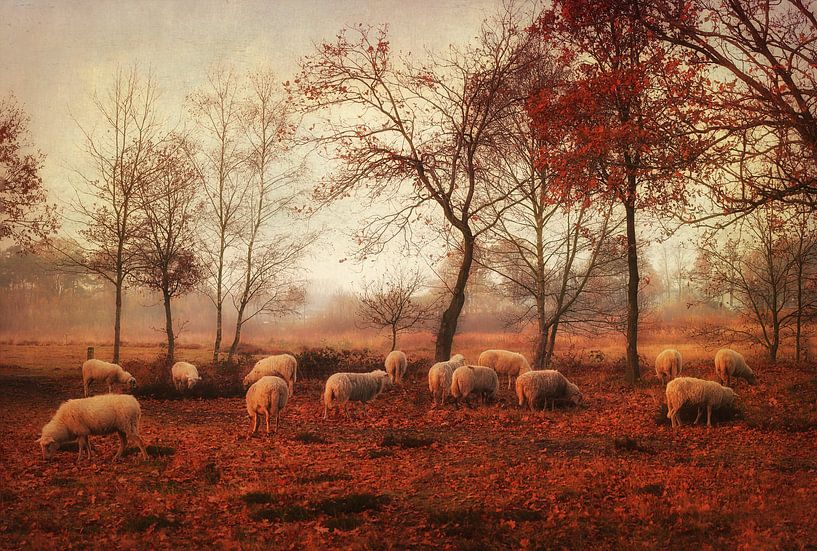 Last days of autumn by Ellen van Deelen