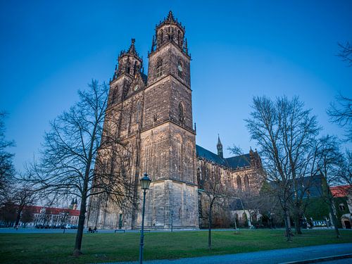 Der Magdeburger Dom zur Blauen Stunde