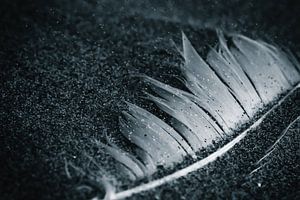 Der Sand der Zeit
