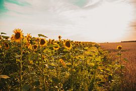 Rest, only rest by Lucie Jakobsen