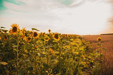 Du repos, seulement du repos sur Lucie Jakobsen