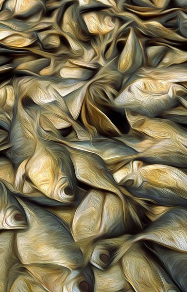 Fish drying in the sun by Richard Wareham