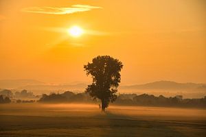 Matin d'été dans l'Ortenau sur Tanja Voigt