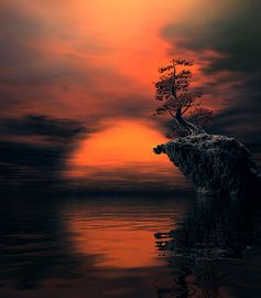 Mysterious Evening