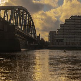 Nijmegen, Eisenbahnbrücke und Waal von Caroline Guerain