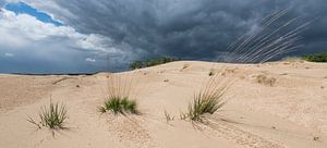 Bedrohlicher Himmel – Nationalpark De Loonse en Drunense Duinen