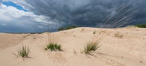 Dreigende lucht - Loonse en Drunense Duinen van Laura Vink